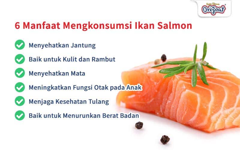 Manfaat ikan salmon
