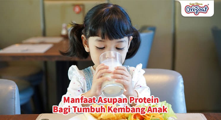 Manfaat asupan protein bagi tumbuh kembang anak