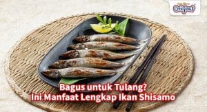 Manfaat lengkap ikan shisamo